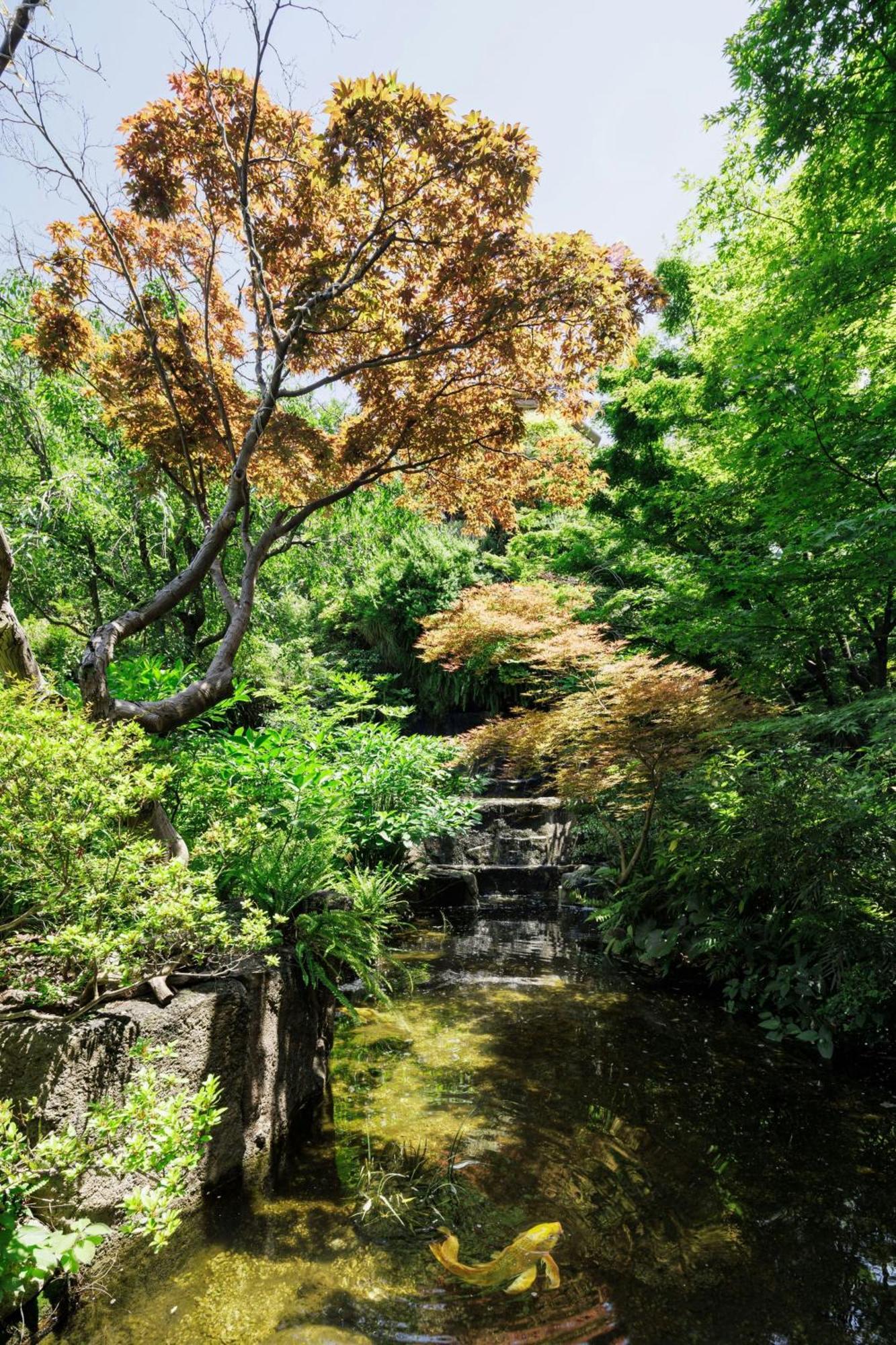 The Westin Tokyo Ξενοδοχείο Εξωτερικό φωτογραφία
