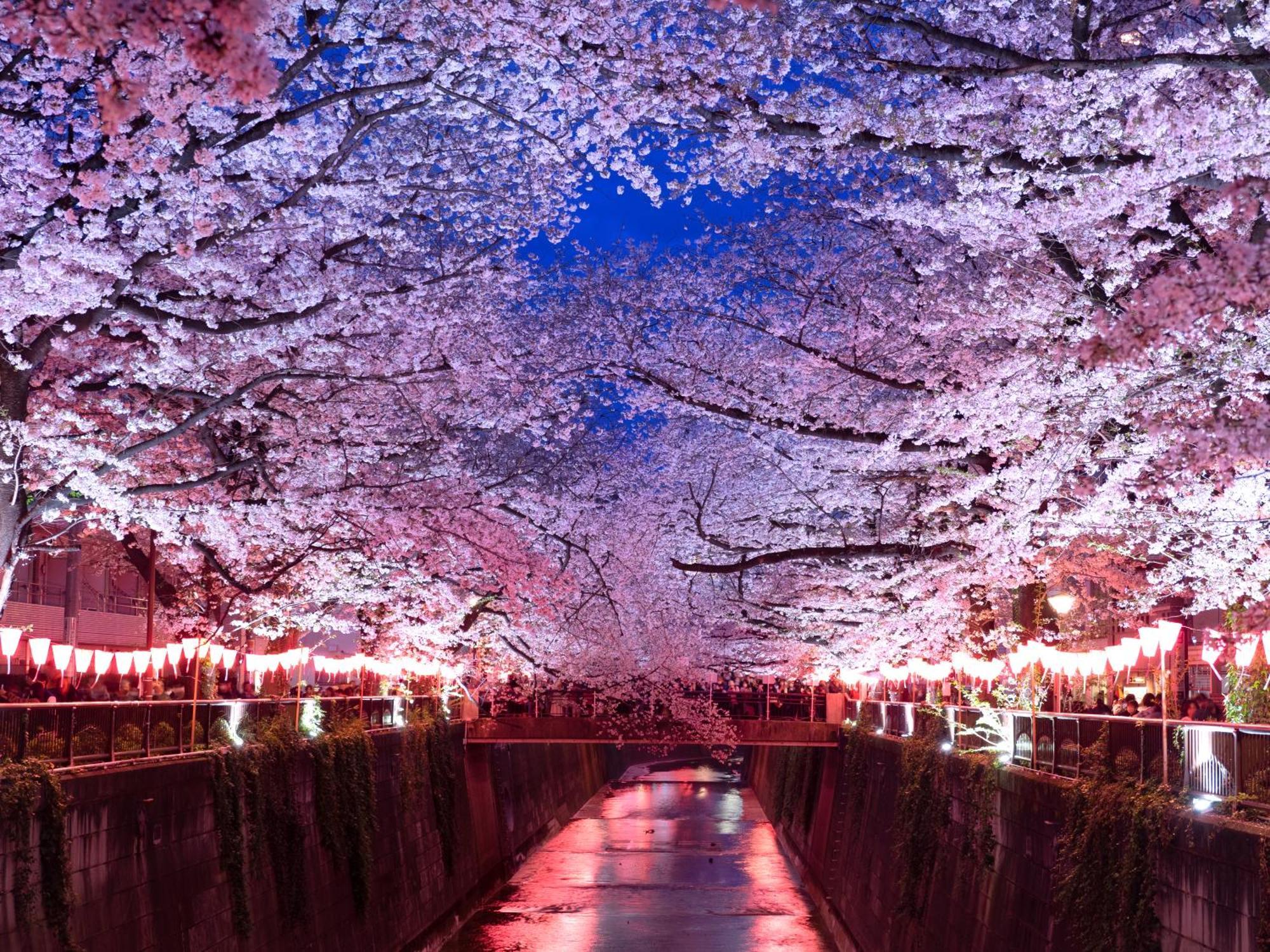 The Westin Tokyo Ξενοδοχείο Εξωτερικό φωτογραφία