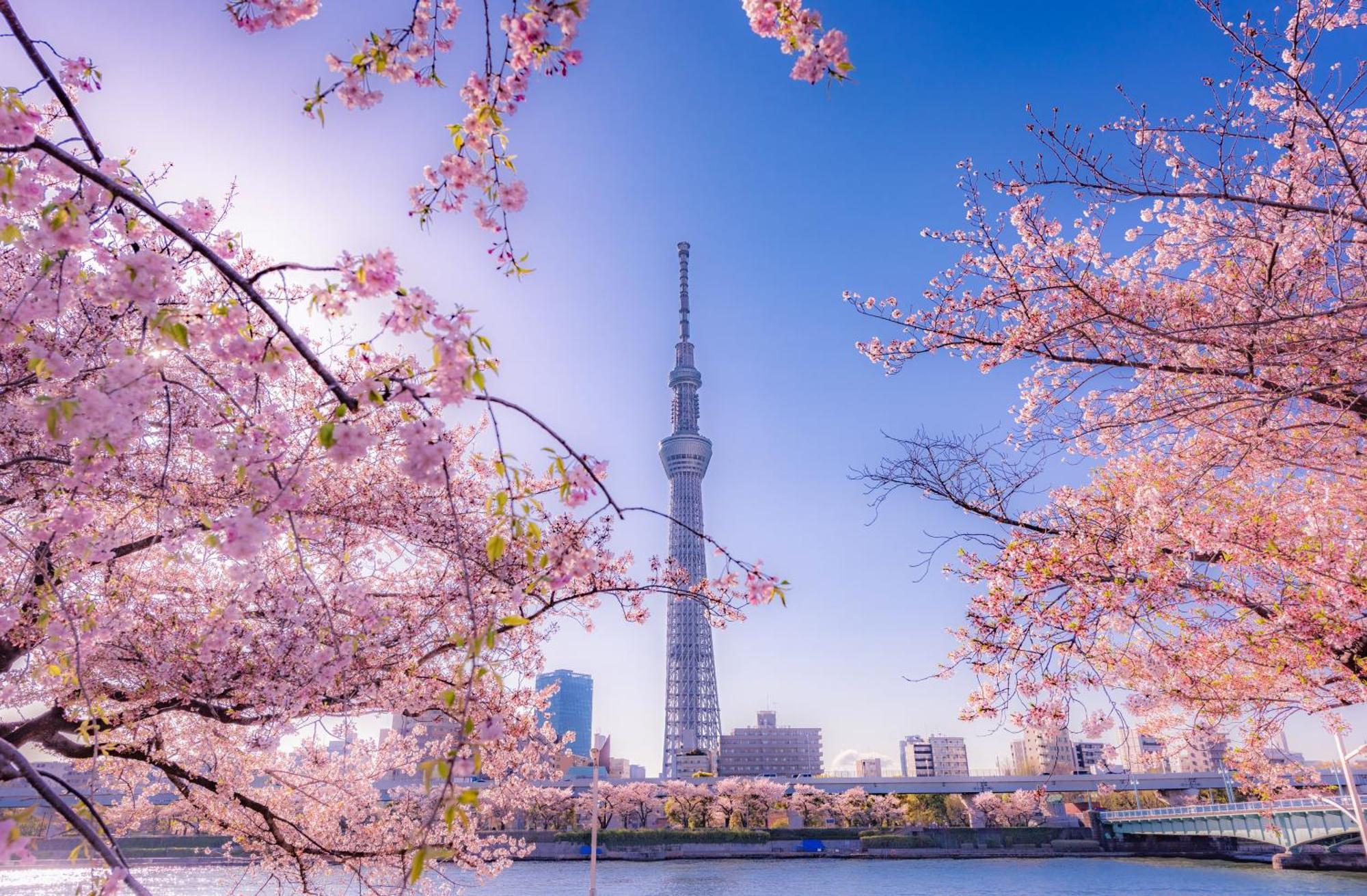 The Westin Tokyo Ξενοδοχείο Εξωτερικό φωτογραφία