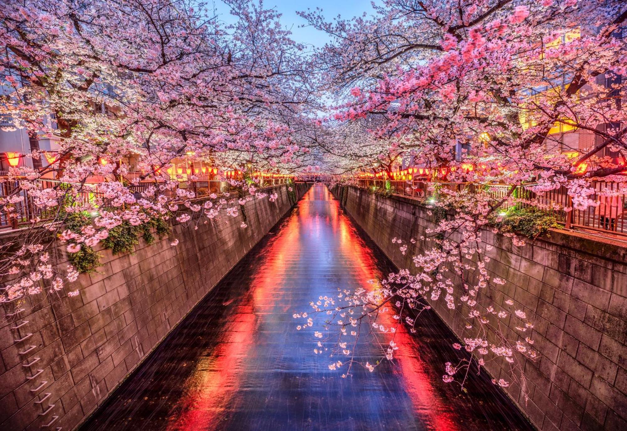 The Westin Tokyo Ξενοδοχείο Εξωτερικό φωτογραφία